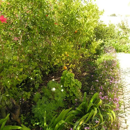 Esti Chamaco -