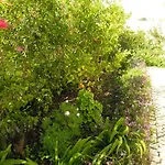 Esti Chamaco -